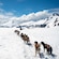 Groups of dog sled teams with human leaders on a mountain glacier landscape